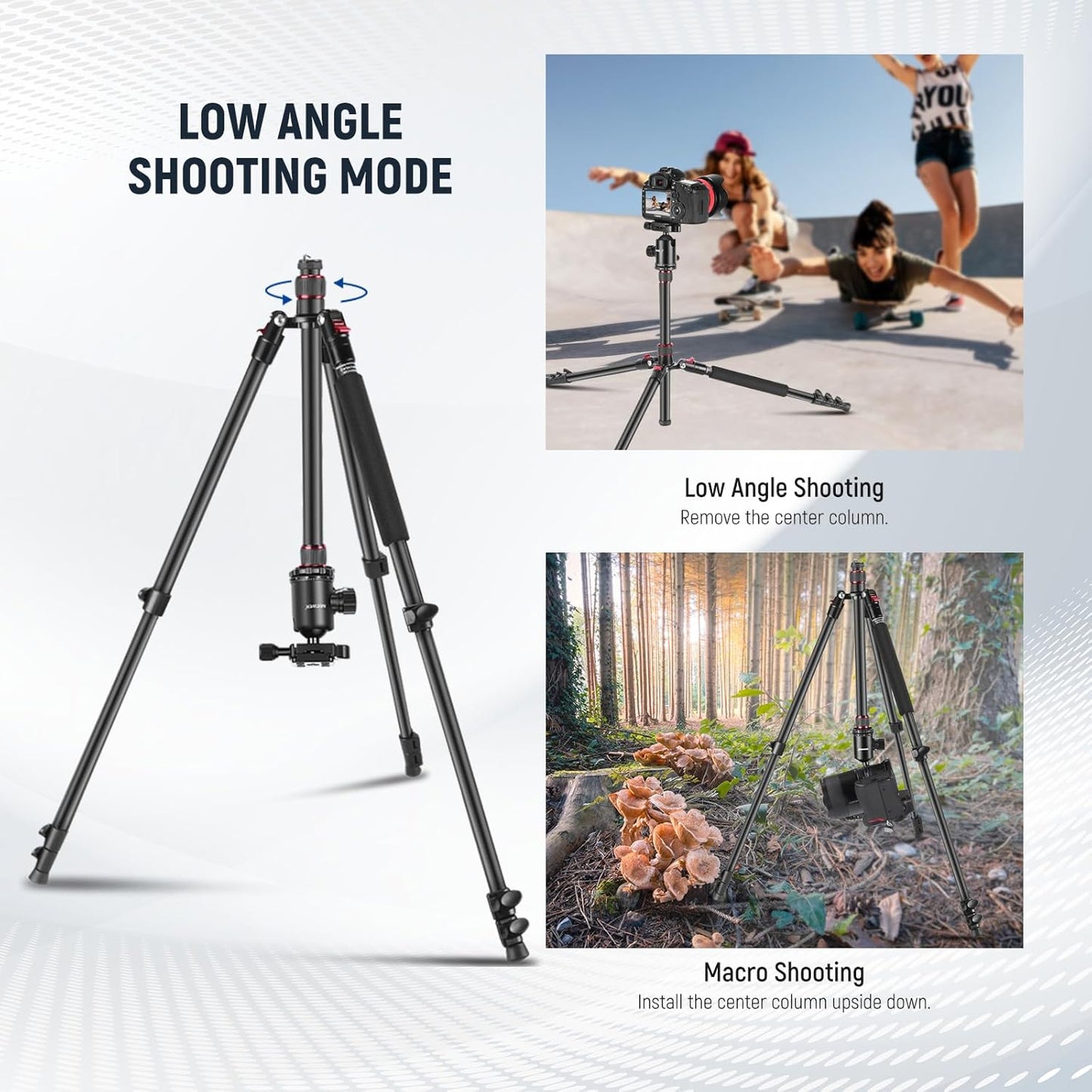 NEEWER 77 inch Camera Tripod Monopod for DSLR, Phone with 360° Panoramic Ball Head, 2 Axis Center Column, Arca Type QR Plate, Compact Aluminum Lightweight Travel Tripod 34lb Max Load, Bag Included